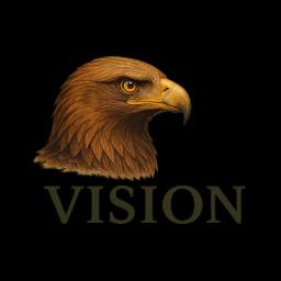 Vision